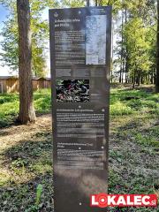 pivola-arheološki-park-4