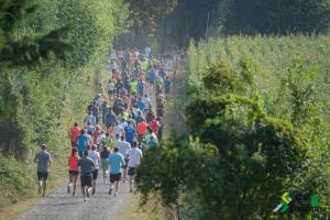 119574079_3708598905851109_5588518970032094908_o