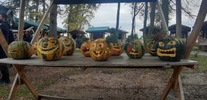 121827650_1492956227565458_3584877807432139013_o