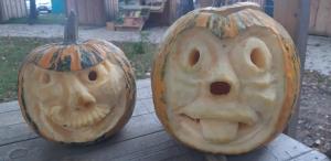 121972514_1492956080898806_264607672482625500_o