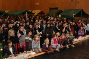 Božično-novoletni sejem - 10. 12. 2011