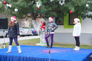 Božično - novoletni sejem, 13. 12. 2014 