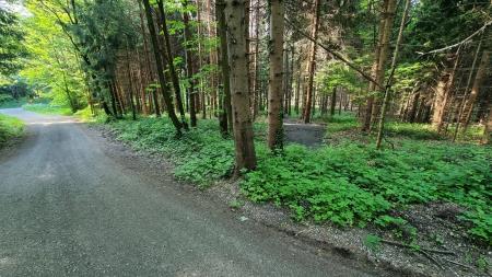 189271952_169291988479378_8336486281230712476_n