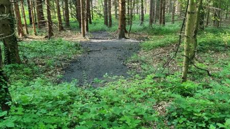 191308650_549080002766786_3474362491204549502_n