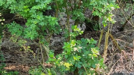 192257019_3715360201908210_6643847292953970437_n