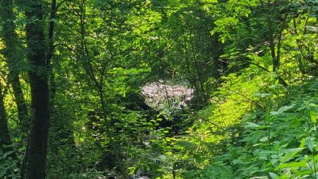 193426116_1150883478713362_2003873411231206863_n