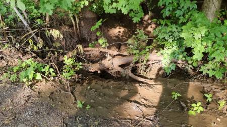 194126347_862199661055063_7308648214093860038_n