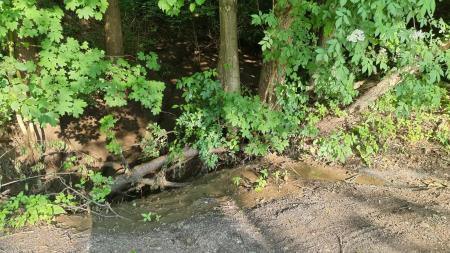 196345312_310205167356135_3105085135445479163_n