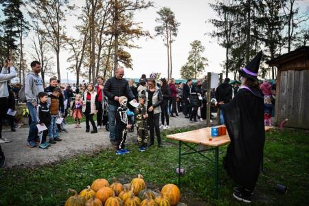 obcina_hoce_slivnica_noc_carovnic_pivola_2022_10_29_MAR_7875_pigac_si