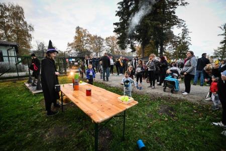 obcina_hoce_slivnica_noc_carovnic_pivola_2022_10_29_MAR_7907_pigac_si
