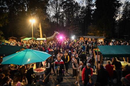 obcina_hoce_slivnica_noc_carovnic_pivola_2022_10_29_MAR_7976_pigac_si