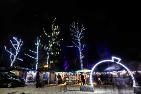 Hoce-Slivnica_prizigLuck_3-12-2022_jbanfi_pigac_si-0