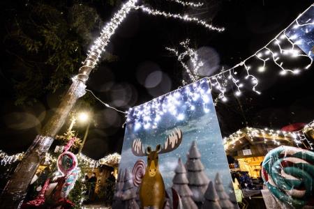 Hoce-Slivnica_prizigLuck_3-12-2022_jbanfi_pigac_si-1