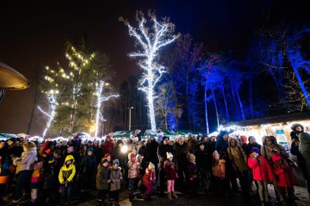 Hoce-Slivnica_prizigLuck_3-12-2022_jbanfi_pigac_si-4