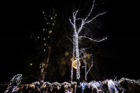 Hoce-Slivnica_prizigLuck_3-12-2022_jbanfi_pigac_si-12