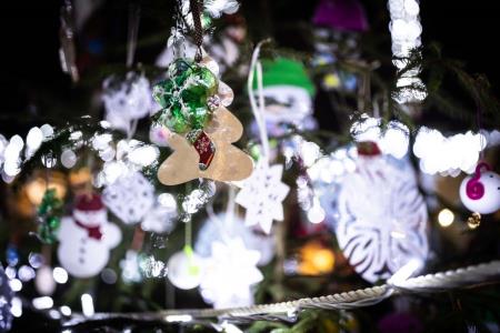 Hoce-Slivnica_prizigLuck_3-12-2022_jbanfi_pigac_si-30