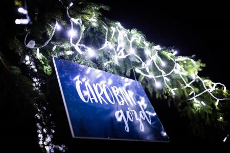 Hoce-Slivnica_prizigLuck_3-12-2022_jbanfi_pigac_si-31