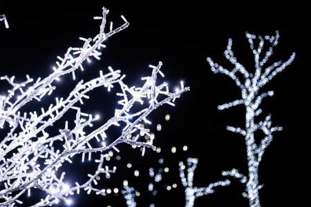 Hoce-Slivnica_prizigLuck_3-12-2022_jbanfi_pigac_si-34