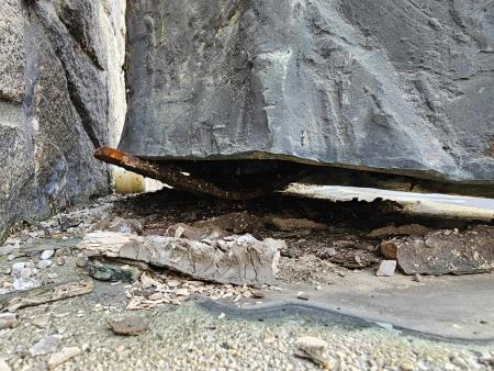 363903744_150878061374644_5373028700669240946_n