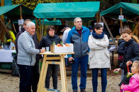 obcina_hoce_slivnica_martinovanje_2023_2023_11_11_MAVA4005_pigac_si