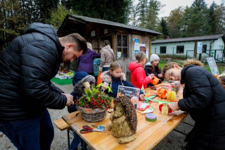 obcina_hoce_slivnica_martinovanje_2023_2023_11_11_MAVA3933_pigac_si