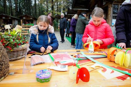 obcina_hoce_slivnica_martinovanje_2023_2023_11_11_MAVA3932_pigac_si