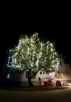 IMG-6904