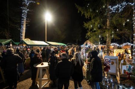 obcina_hoce_slivnica_pivola_zive_jaslice_2023_12_16_mv_041_pigac_si