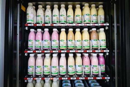 obcina_hoce_slivnica_multimat_2024_05_27_MP76989_pigac_si