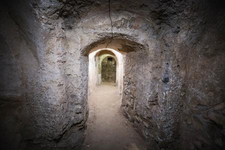 obcina_hoce_slivnica_farska_klet_2024_10_11_MAVA9647_foto_mv_pigac_si