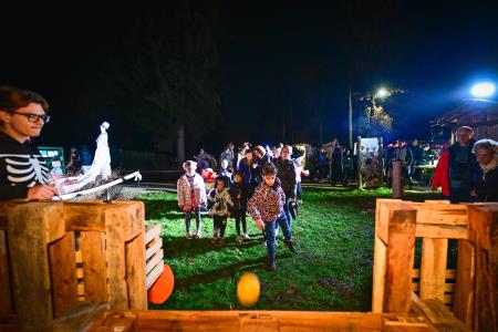 obcina_hoce_slivnica_halloween_pivola_2024_10_30_MP78303_foto_pigac_si