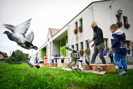 obcina_hoce_slivnica_obcinski_praznik_2025_09_25_MAR3209_foto_markopigac_pigac_si