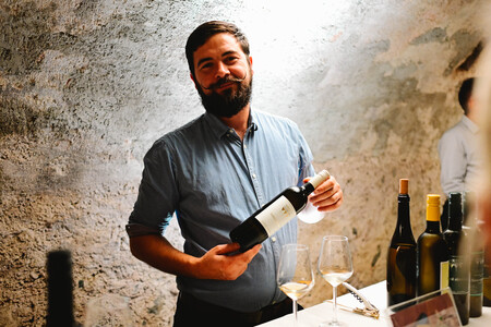 obcina_hoce_slivnica_vinska_zupnijska_2025_09_26_MAR5223_foto_markopigac_pigac_si