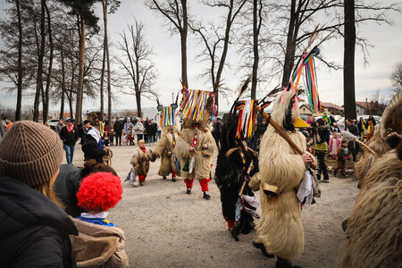 obcina_hoce_slivnica_pustovanje_pivola_2026_02_14_EK9A8060_foto_pigac_si