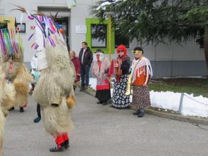 IMG_2237